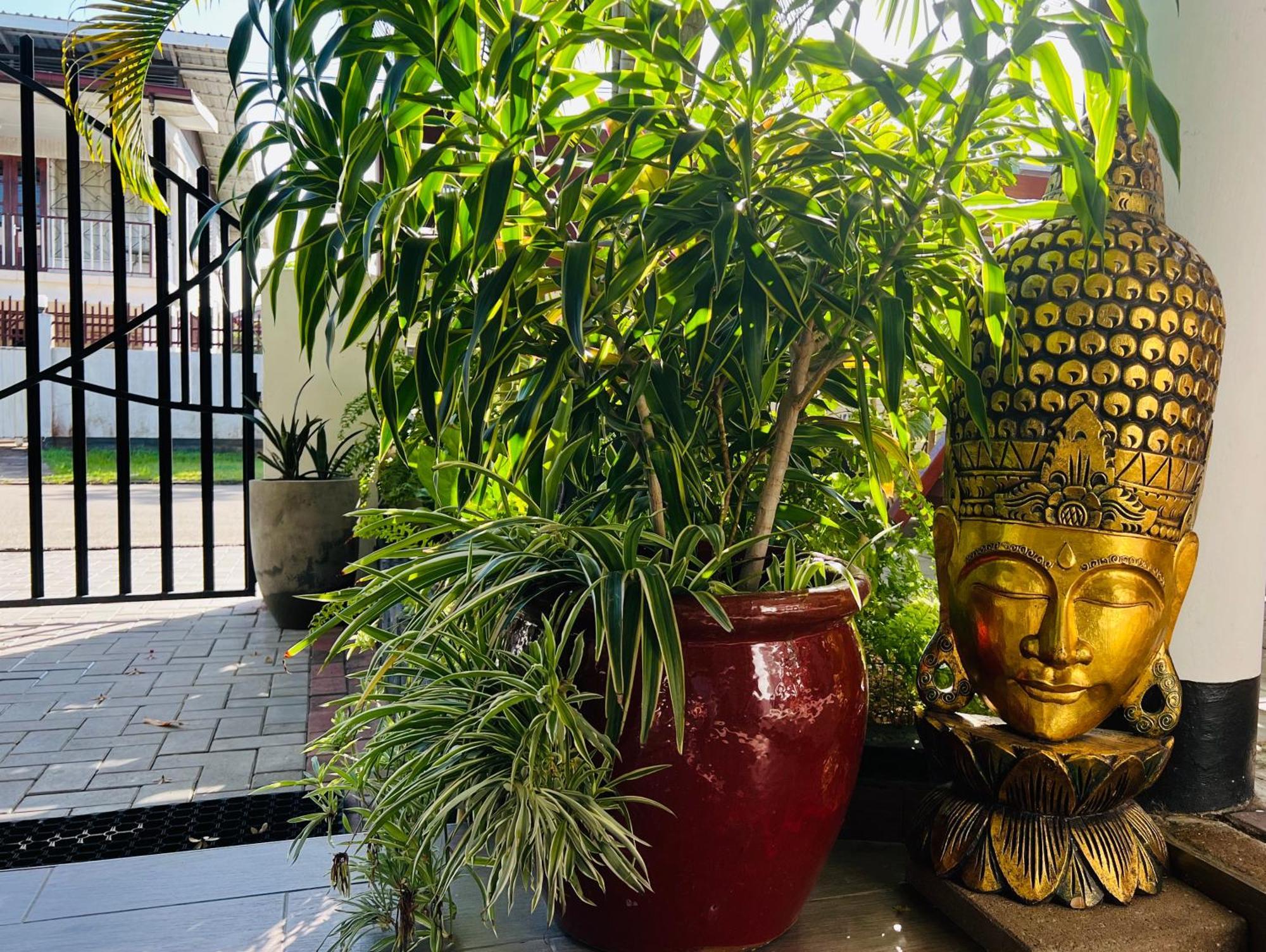 Villa Famiri Boutique Hotel Paramaribo Exteriör bild